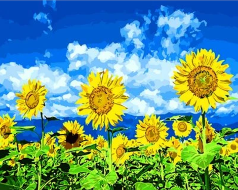 Sunflower Diy Paint By Numbers Kits UK PL0375