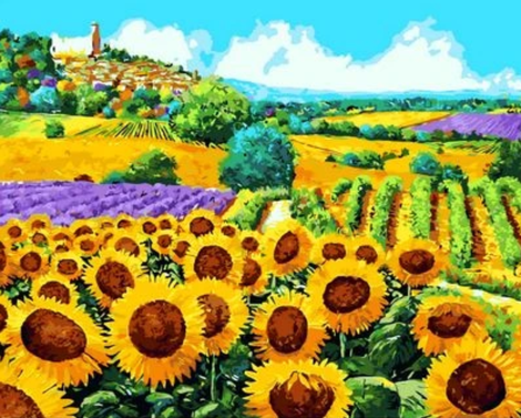 Sunflower Diy Paint By Numbers Kits UK PL0377