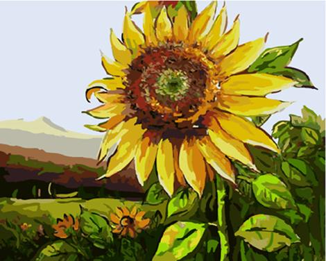 Sunflower Diy Paint By Numbers Kits UK PL0389