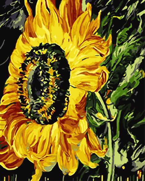 Sunflower Diy Paint By Numbers Kits UK PL0394