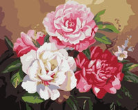 Flower Diy Paint By Numbers Kits UK PL0428