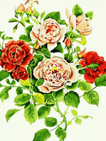 Flower Diy Paint By Numbers Kits UK PL0463