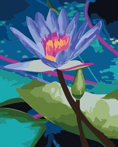 Lotus Diy Paint By Numbers Kits UK,PL0472
