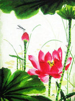 Lotus Diy Paint By Numbers Kits UK,PL0475
