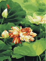 Lotus Diy Paint By Numbers Kits UK,PL0480