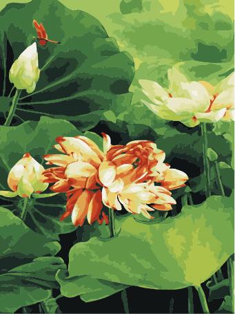 Lotus Diy Paint By Numbers Kits UK,PL0480