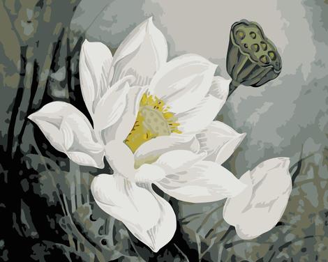 Lotus Diy Paint By Numbers Kits UK,PL0482