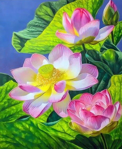 Lotus Diy Paint By Numbers Kits UK,PL0484
