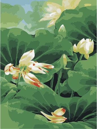 Lotus Diy Paint By Numbers Kits UK PL0489