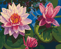 Lotus Diy Paint By Numbers Kits UK PL0490