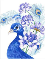 Peacock Diy Paint By Numbers Kits UK AN0673