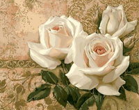 Rose Flowers Diy Paint By Numbers Kits UK PL0508