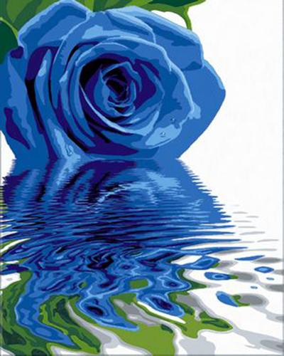 Rose Flowers Diy Paint By Numbers Kits UK PL0509