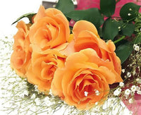 Rose Flowers Diy Paint By Numbers Kits UK PL0515