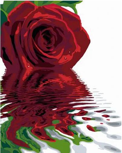 Rose Flowers Diy Paint By Numbers Kits UK PL0516