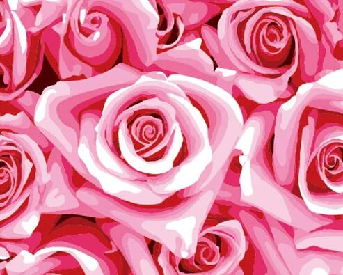 Rose Flowers Diy Paint By Numbers Kits UK PL0533