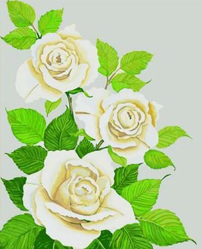 Rose Flowers Diy Paint By Numbers Kits UK PL0535