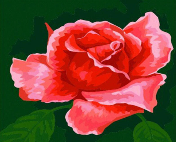 Rose Flowers Diy Paint By Numbers Kits UK PL0547