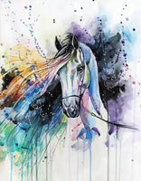 Horse Diy Paint By Numbers Kits UK AN0249