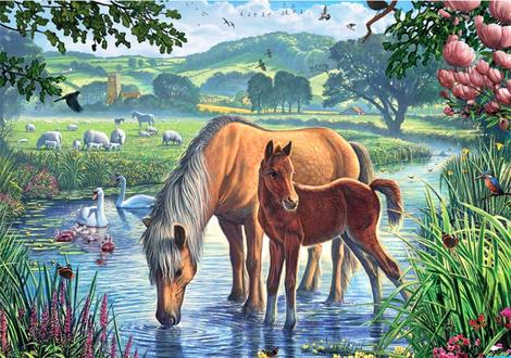 Animals Horse Paint By Numbers Kits UK AN0056