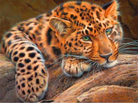 Leopard Diy Paint By Numbers Kits UK AN0828