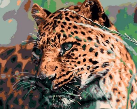 Animal Leopard Diy Paint By Numbers Kits UK AN0837