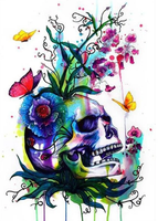 Skull Diy Paint By Numbers Kits UK PP0156