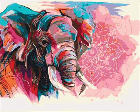 Elephant Diy Paint By Numbers Kits UK AN0079