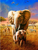 Elephant Diy Paint By Numbers Kits UK AN0083
