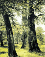 Landscape Tree Diy Paint By Numbers Kits UK PL0085
