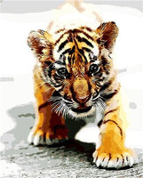 Tiger Diy Paint By Numbers Kits UK AN0008