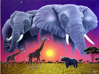 Elephant Diy Paint By Numbers Kits UK AN0093