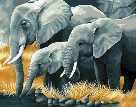 Animal Elephant Diy Paint By Numbers Kits UK AN0226