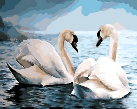 Animal Swan Diy Paint By Numbers Kits UK AN0721