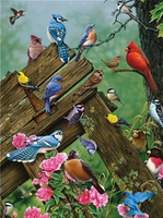 Bird Diy Paint By Numbers Kits UK FA0075