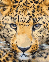 Animal Leopard Diy Paint By Numbers Kits UK AN0817