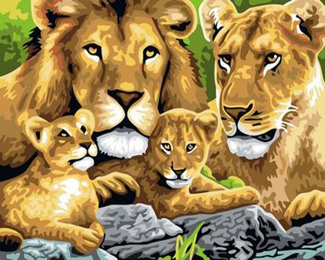Animal Lion Diy Paint By Numbers Kits UK AN0466