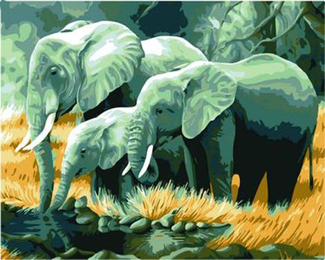 Animal Elephant Diy Paint By Numbers Kits UK AN0233