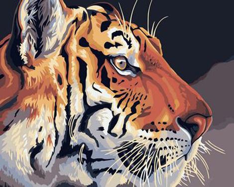 Animal Tiger Diy Paint By Numbers Kits UK AN0411