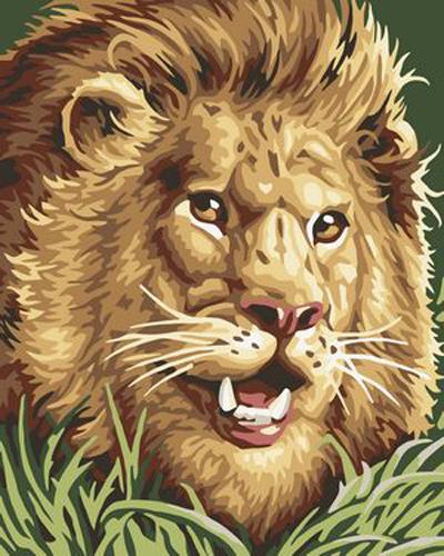 Animal Lion Diy Paint By Numbers Kits UK AN0465