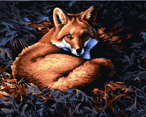 Animal Fox Diy Paint By Numbers Kits UK AN0702