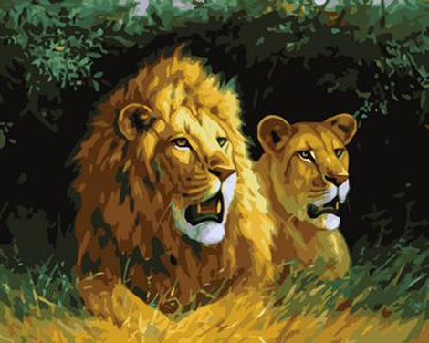 Animal Lion Diy Paint By Numbers Kits UK AN0452