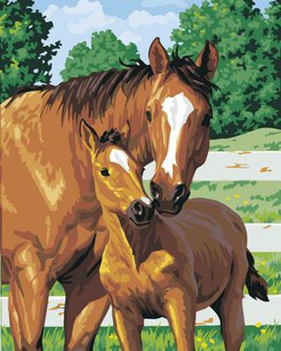 Animal Horse Diy Paint By Numbers Kits UK AN0302