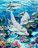 Dolphin Diy Paint By Numbers Kits MA186