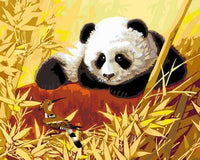 Panda Diy Paint By Numbers Kits UK AN0773