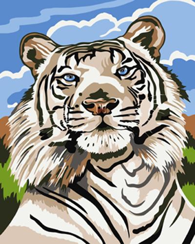 Animal Tiger Diy Paint By Numbers Kits UK AN0358