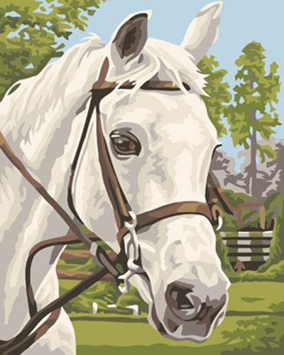 Animal Horse Diy Paint By Numbers Kits UK AN0301