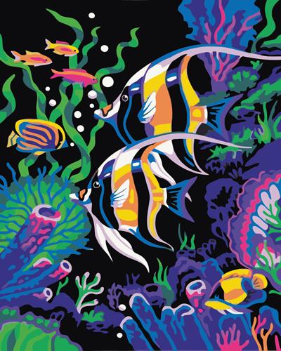 Fish Diy Paint By Numbers Kits UK PE0125