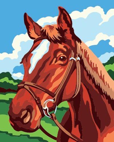 Animal Horse Diy Paint By Numbers Kits UK AN0299