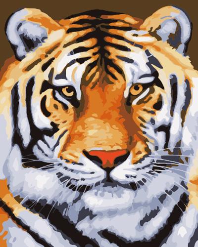 Animal Tiger Diy Paint By Numbers Kits UK AN0360